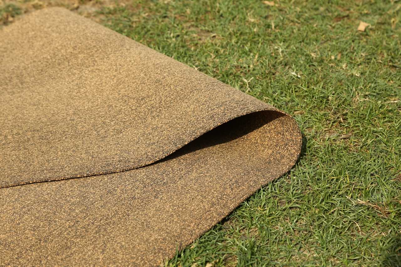 Pro Cork Yoga Mat